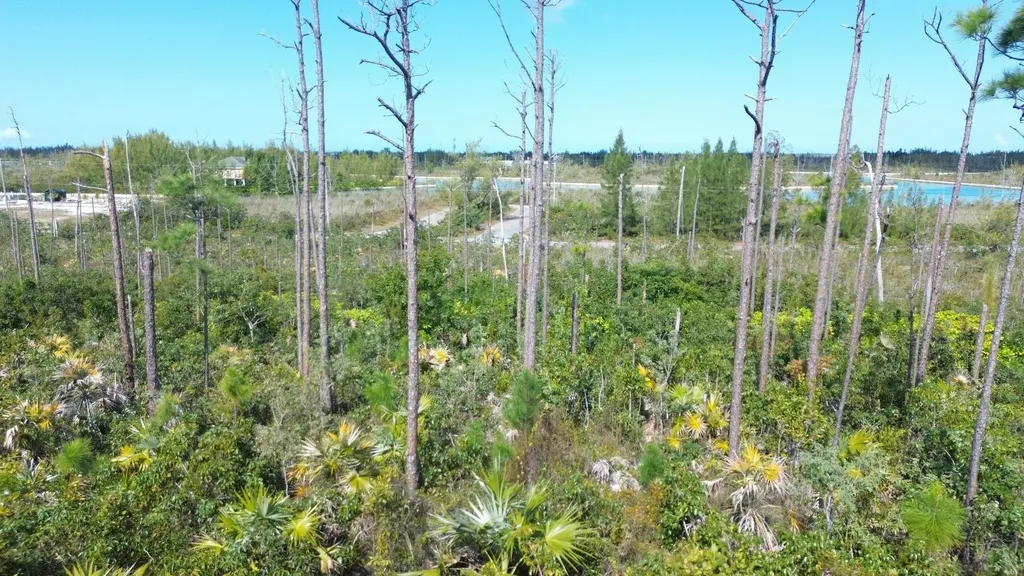 Bristol Bay Lot Grand Bahama Freeport BS