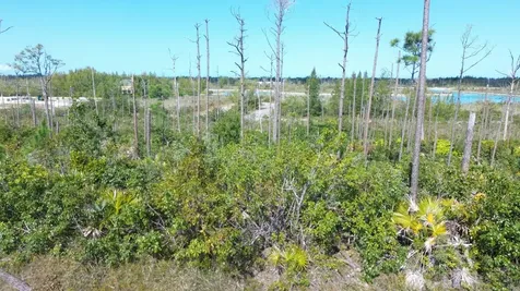 Bristol Bay Lot Grand Bahama Freeport BS