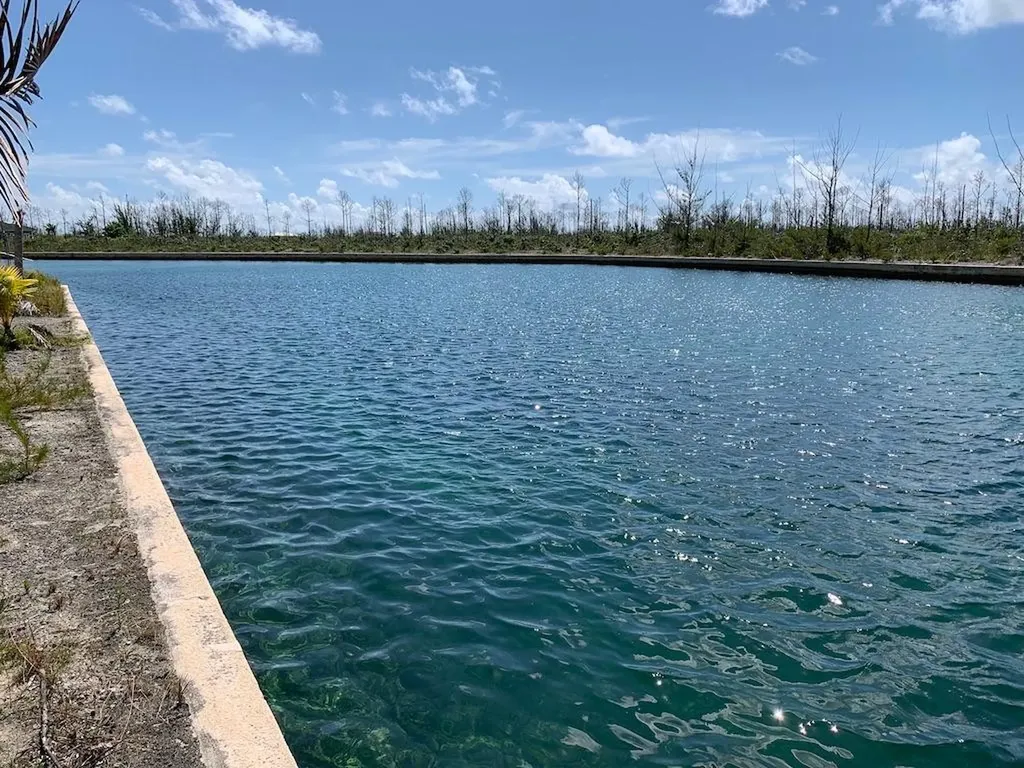 Pine Bay Canal Front Grand Bahama Freeport BS