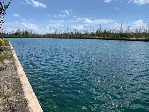 Pine Bay Canal Front Grand Bahama Freeport BS