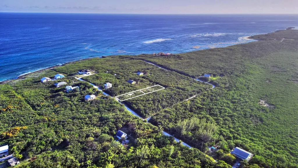 Lot 7g-3 Yellow Wood Abaco BS