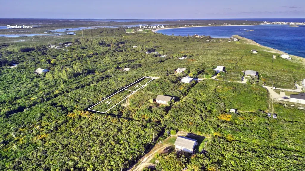 Lot 7g-3 Yellow Wood Abaco BS