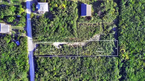 Lot 7g-3 Yellow Wood Abaco BS