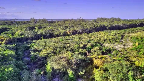 Lot 7g-3 Yellow Wood Abaco BS