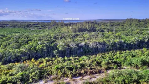 Lot 7g-3 Yellow Wood Abaco BS