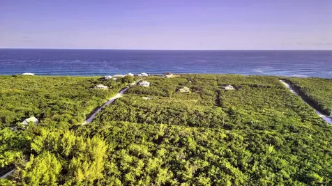 Lot 7g-1 Yellow Wood Abaco BS