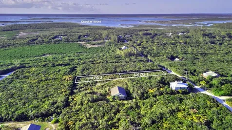 Lot 7g-1 Yellow Wood Abaco BS