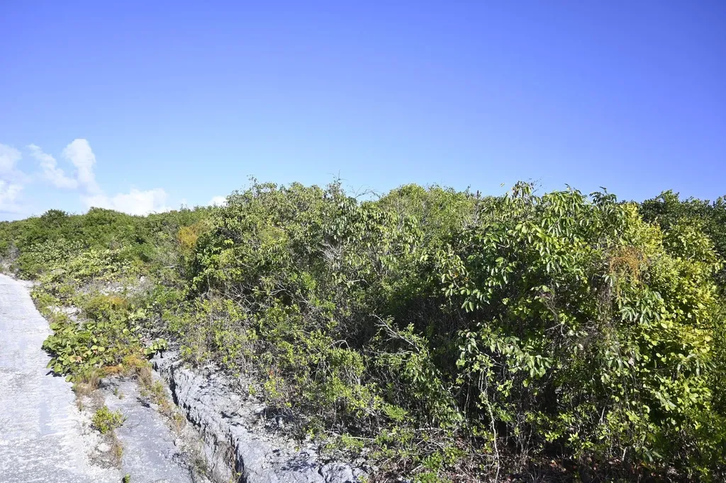 Alabaster Bay Acreage Eleuthera BS