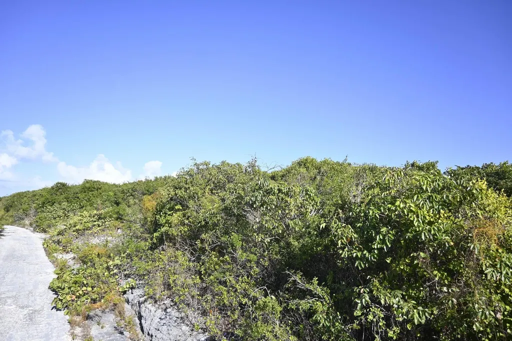 Alabaster Bay Acreage Eleuthera BS