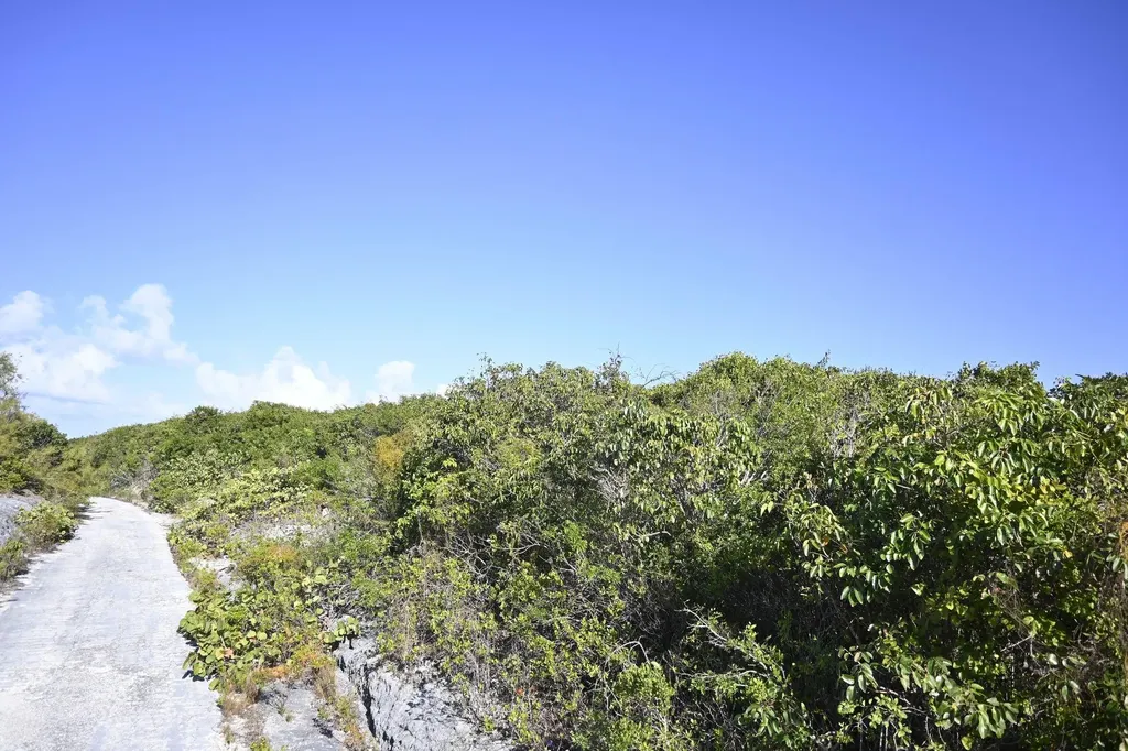 Alabaster Bay Acreage Eleuthera BS