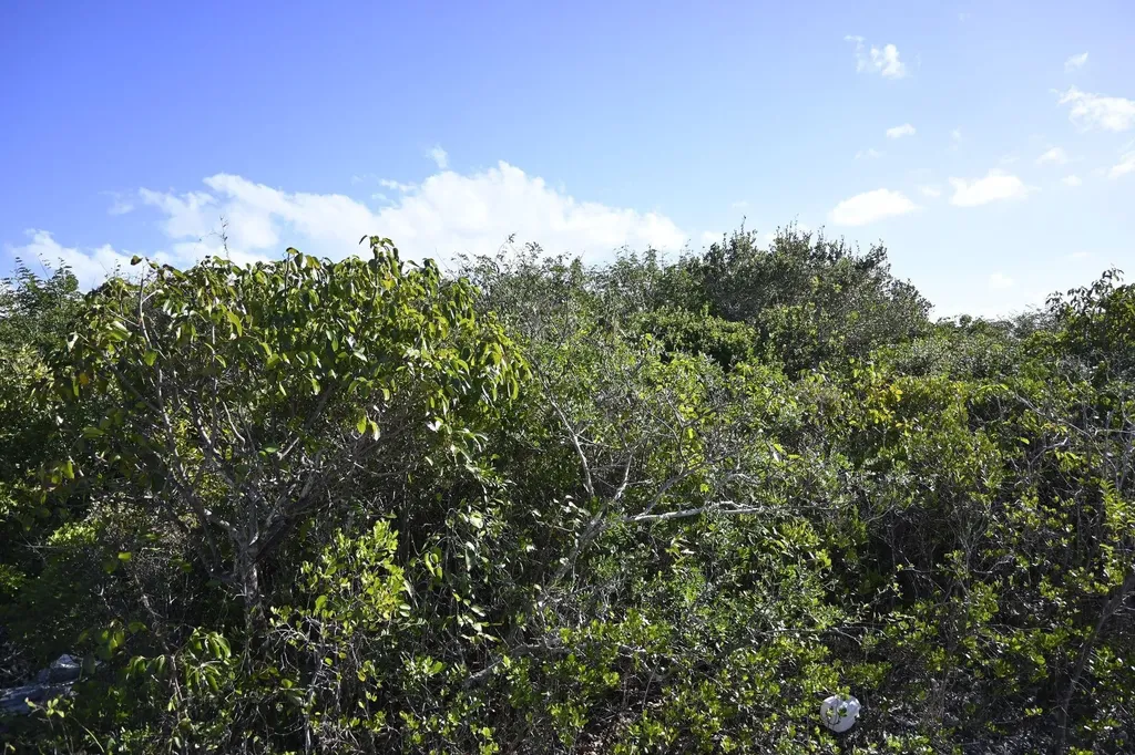 Alabaster Bay Acreage Eleuthera BS