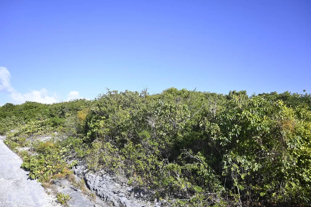 Alabaster Bay Acreage Eleuthera BS