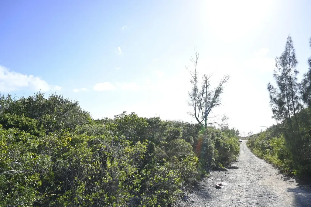 Alabaster Bay Acreage Eleuthera BS