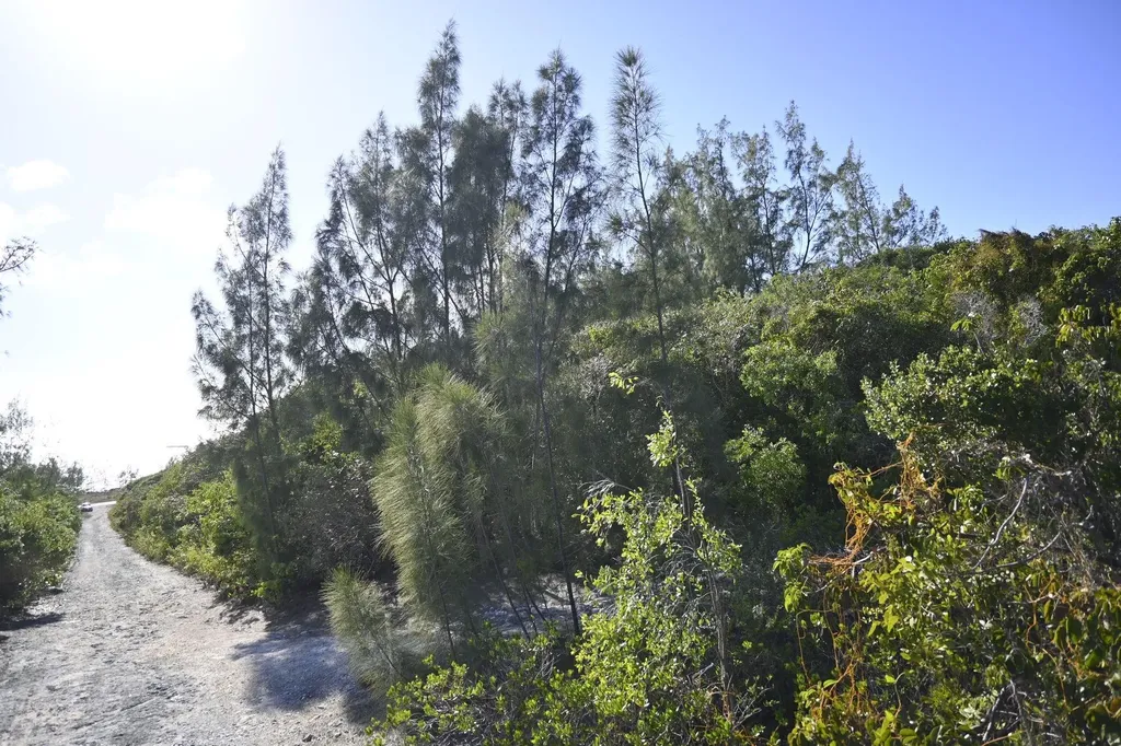 Alabaster Bay Acreage Eleuthera BS