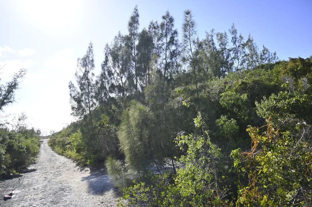Alabaster Bay Acreage Eleuthera BS