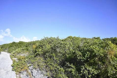 Alabaster Bay Acreage Eleuthera BS
