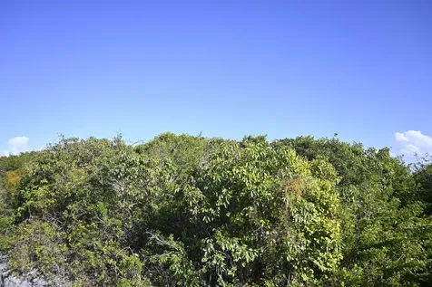 Alabaster Bay Acreage Eleuthera BS