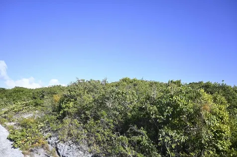 Alabaster Bay Acreage Eleuthera BS