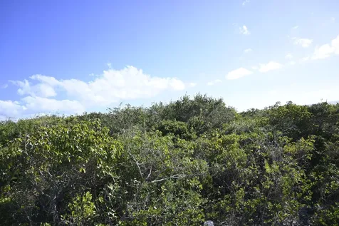 Alabaster Bay Acreage Eleuthera BS