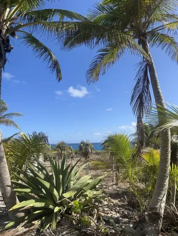 Lot 195 Oceanfront Street Long Island BS