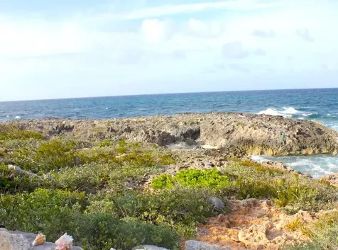 Lot 195 Oceanfront Street Long Island BS