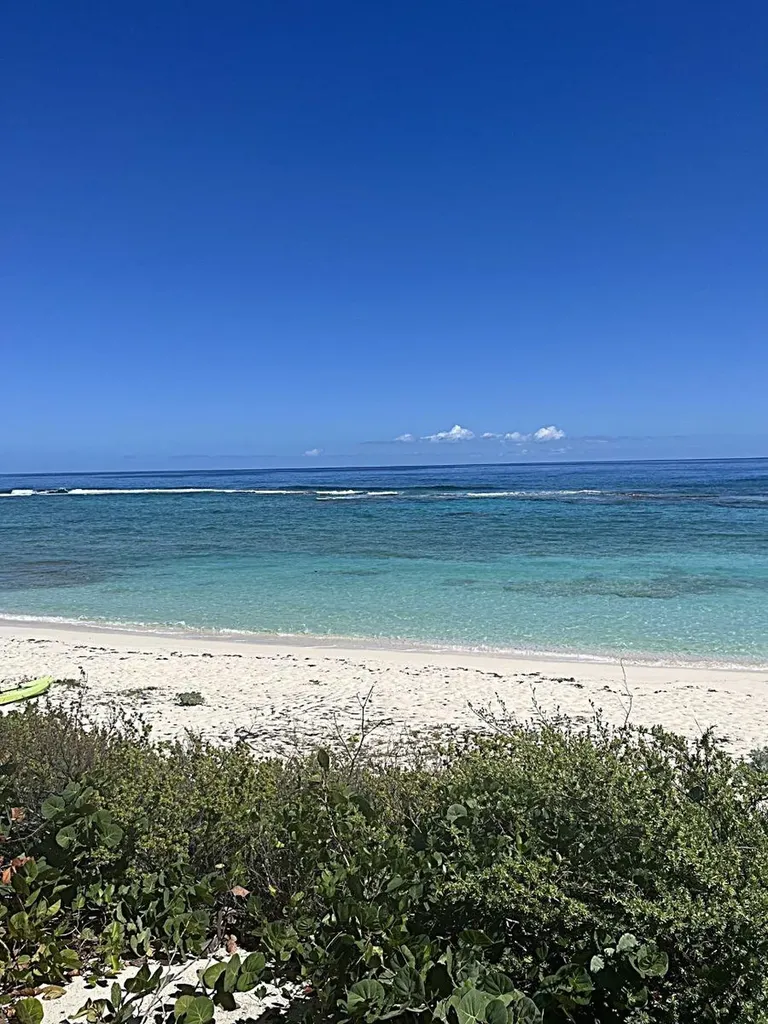 2bd/2ba Mckann's Long Island BS