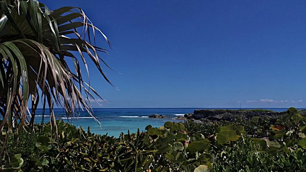 2bd/2ba Mckann's Long Island BS