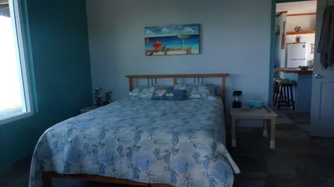 2bd/2ba Mckann's Long Island BS