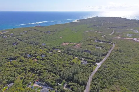 Yellow Wood Acres Abaco BS