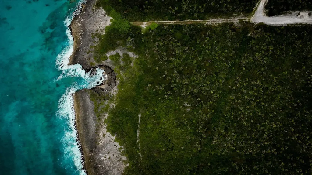 Lot 4l, Yellow Wood Abaco BS