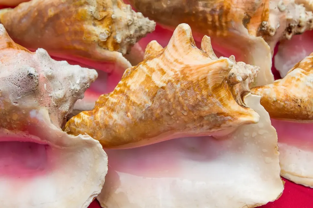 Vacant Land Stocking Isla 1 Exuma BS