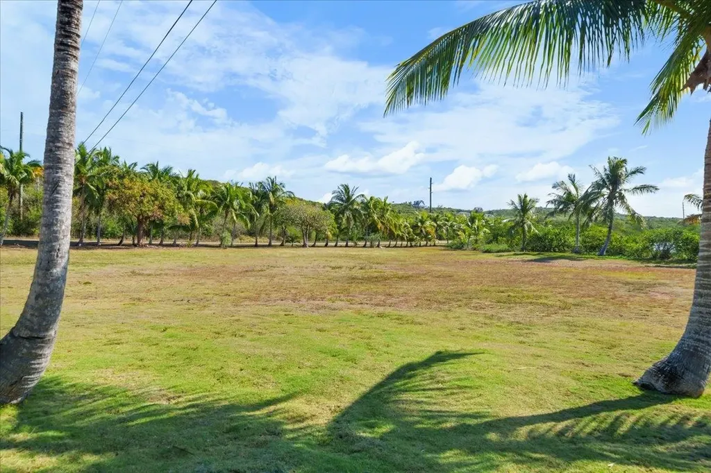 Gregory Town Eleuthera BS