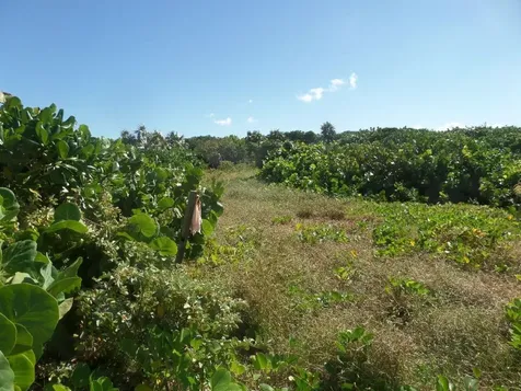 Beach Front Lots Long Island BS