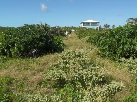 Beach Front Lots Long Island BS