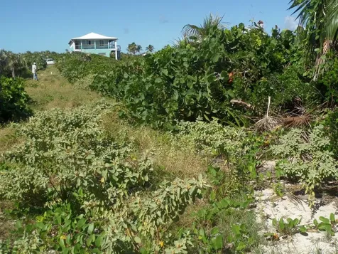 Beach Front Lots Long Island BS