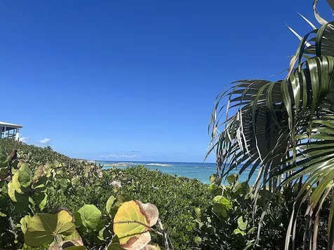 Beach Front Lots Long Island BS