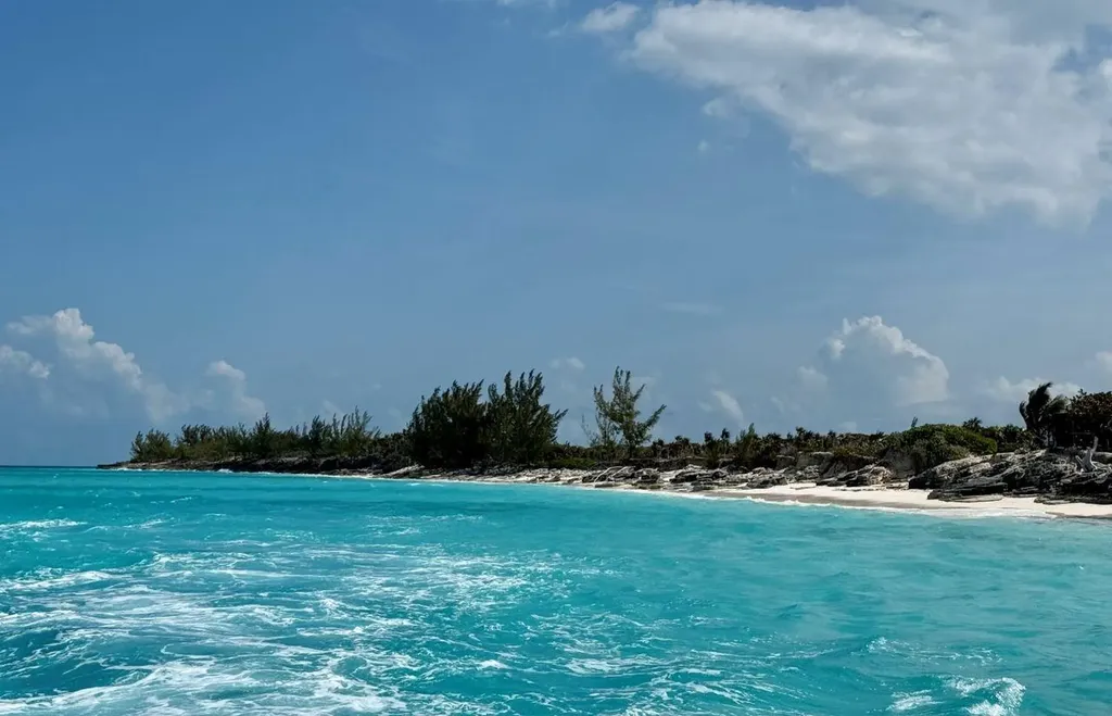 Rose Island Rose Island BS