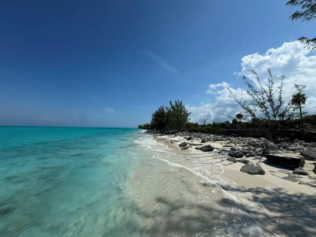 Rose Island Rose Island BS