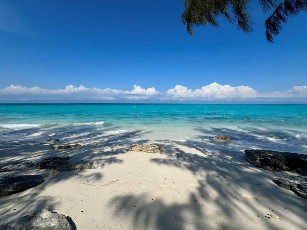 Rose Island Rose Island BS