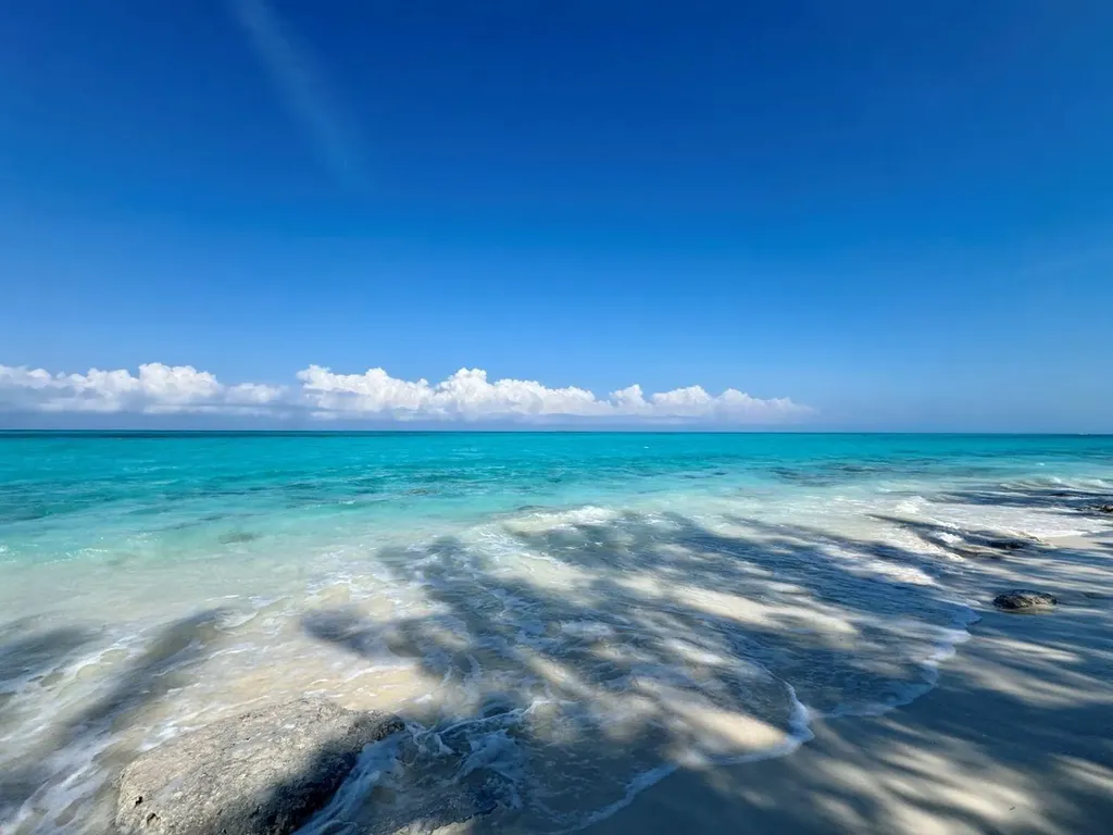 Rose Island Rose Island BS