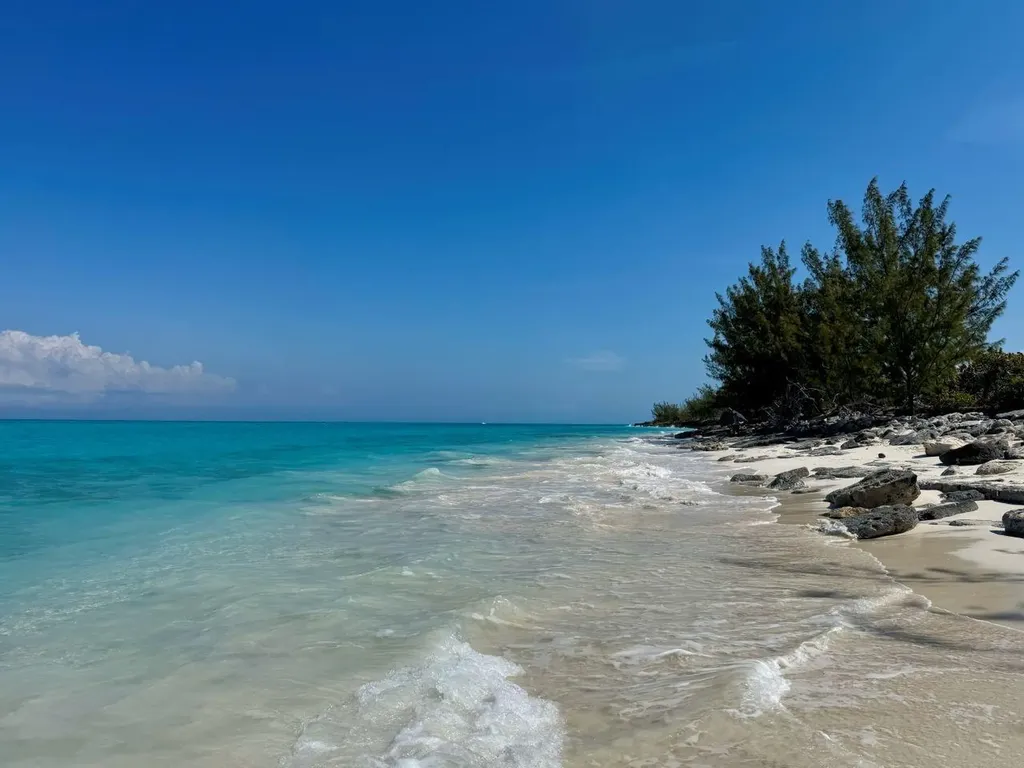 Rose Island Rose Island BS