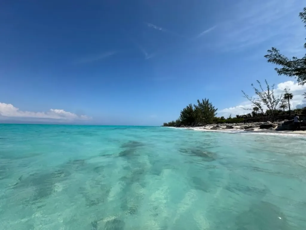 Rose Island Rose Island BS