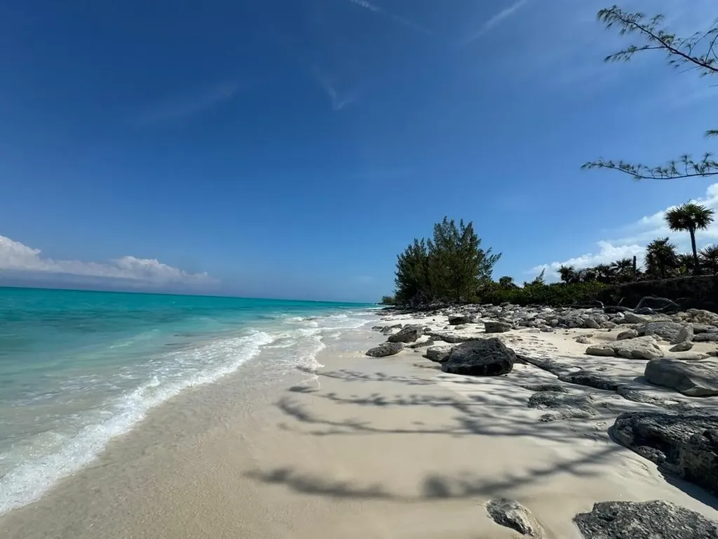 Rose Island Rose Island BS