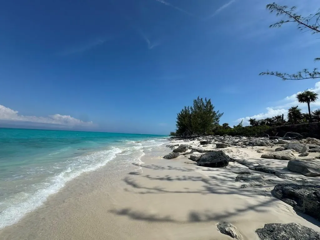 Rose Island Rose Island BS