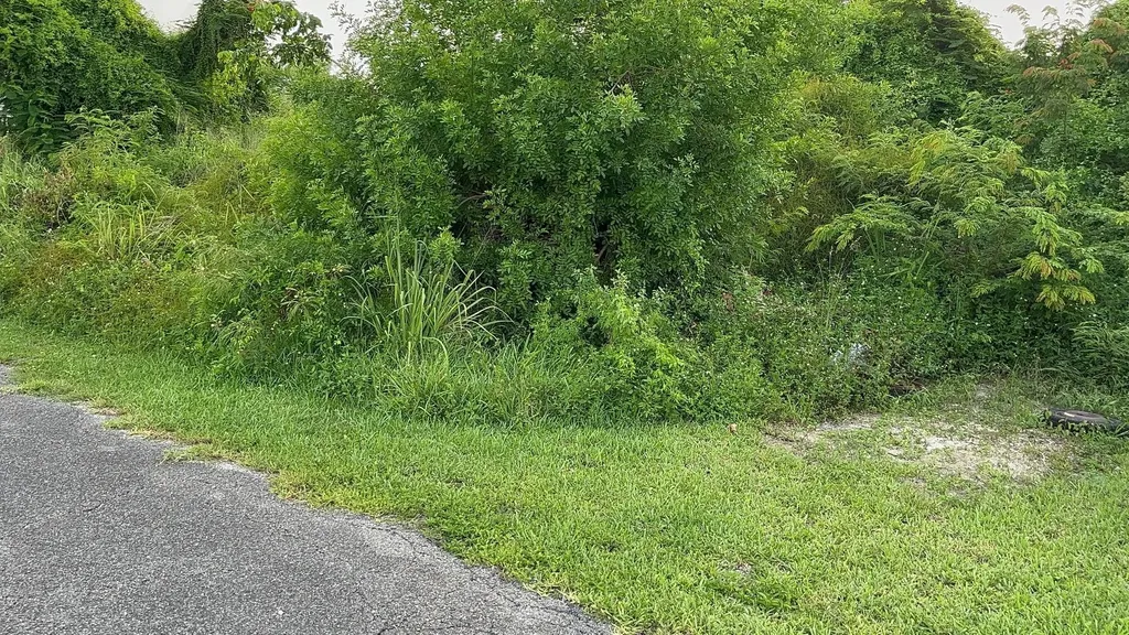 East Street North Lot New Providence Paradise Island BS