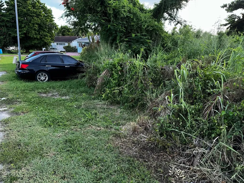 East Street North Lot New Providence Paradise Island BS