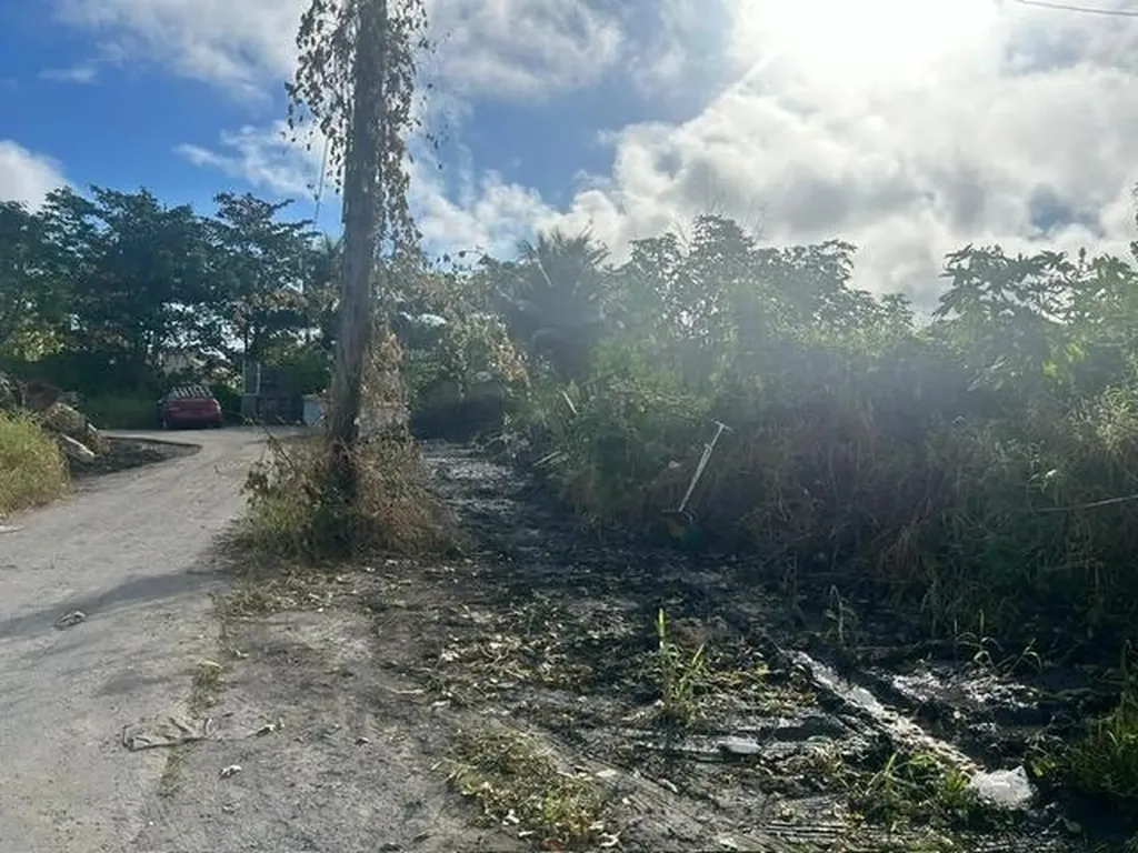 East Street North Lot New Providence Paradise Island BS