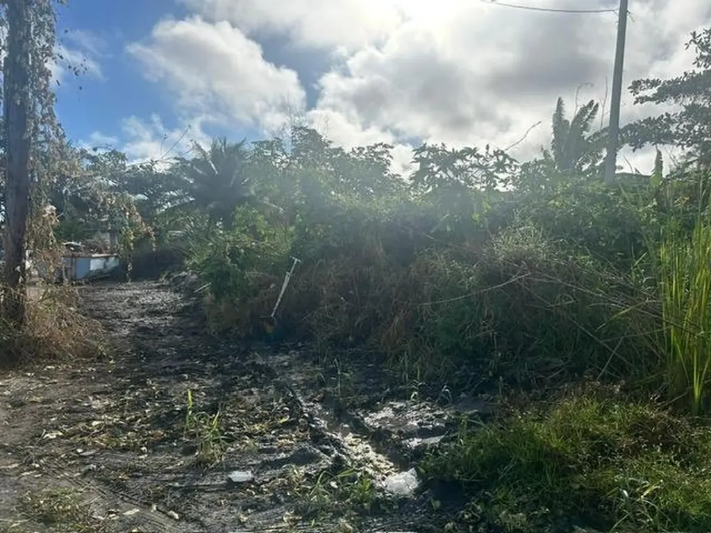 East Street North Lot New Providence Paradise Island BS