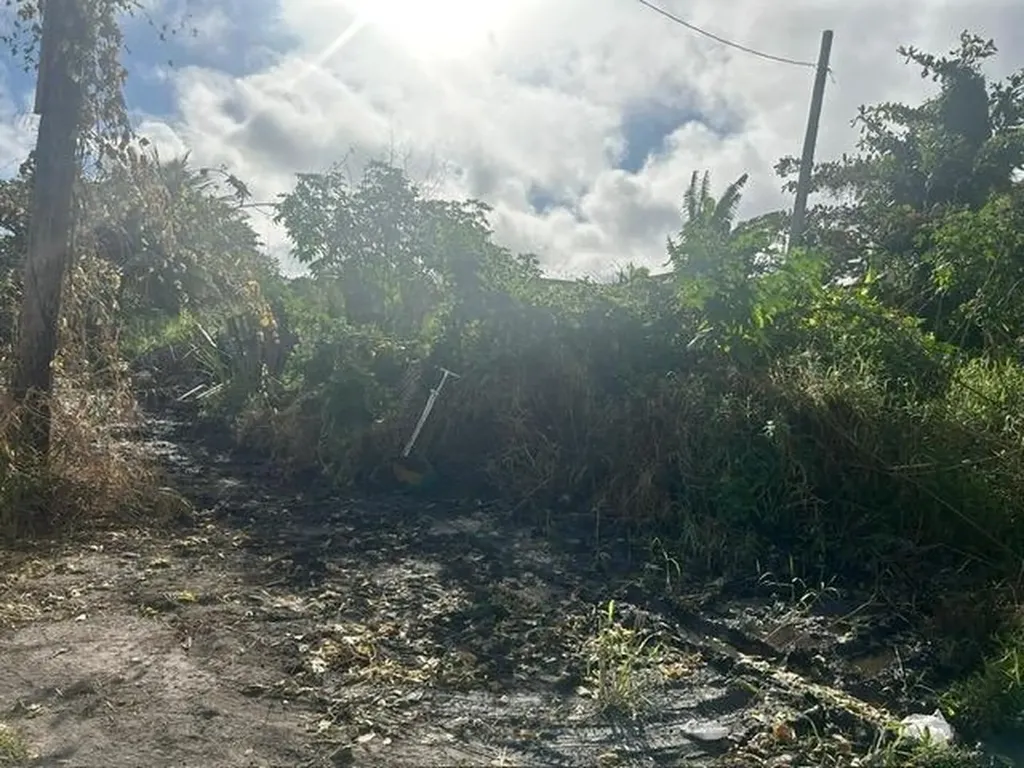 East Street North Lot New Providence Paradise Island BS