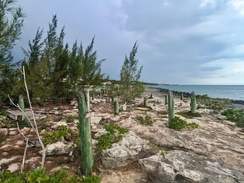 Eastern Shores Abaco BS